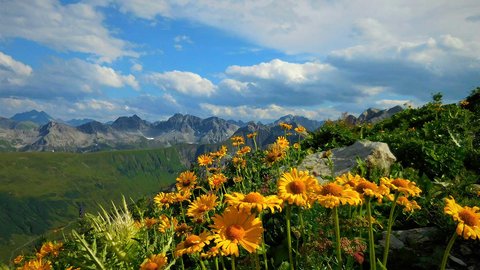 Sommeraktivitäten im Lechtal / Hotel Bergmahd